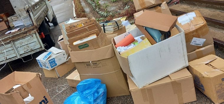 Островичи собрали деньги на вакцинацию бездомных собак