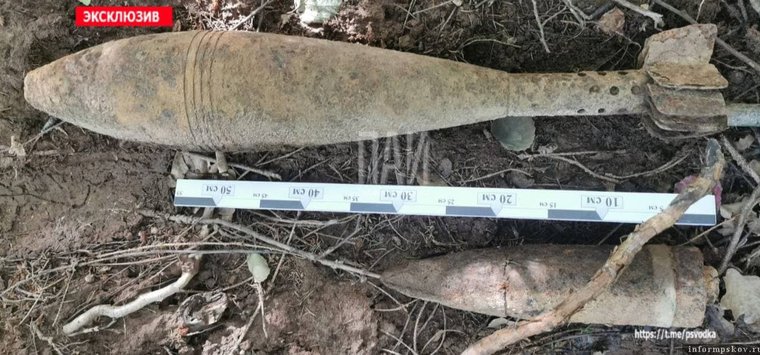 Боеприпасы времен войны нашли в островской деревне