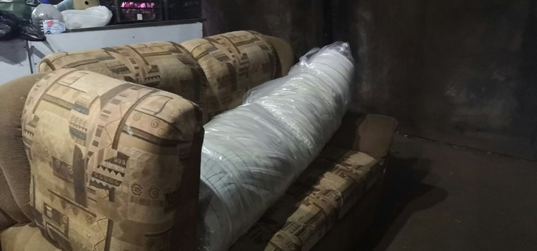 Диван и холодильник получил в подарок островский приют для животных