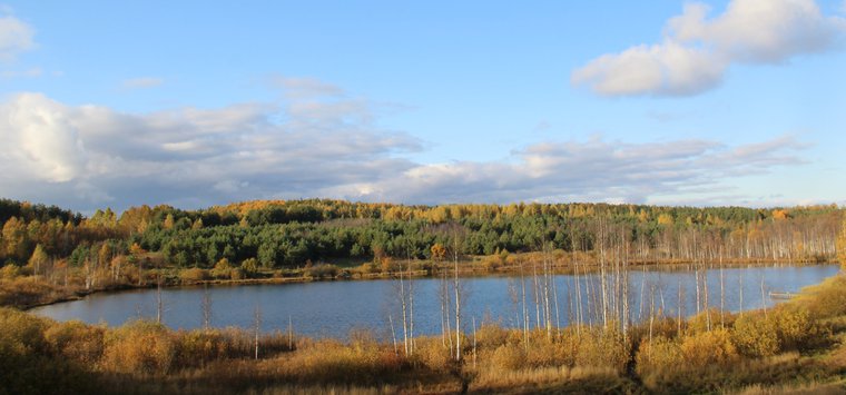 Осенний лес