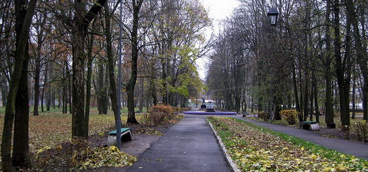 Народный фронт оценит качество благоустройства города Острова