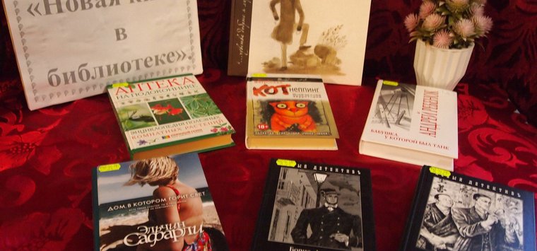 Новые книги на 200 тысяч рублей купили для островских библиотек