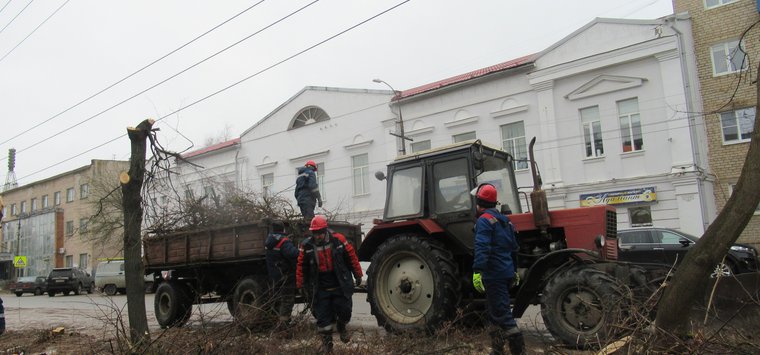 Обрезку ветвей деревьев провели на улице 1 Мая в Острове