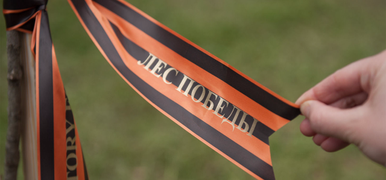 «Лес Победы» вырастет в Острове