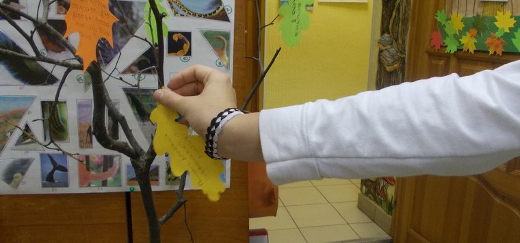 Осенние игры провели для школьников в Острове