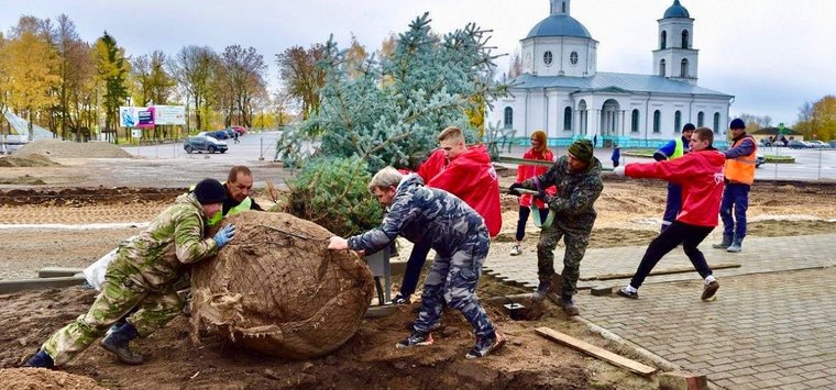 Каштаны и ели высадили в центре Острова