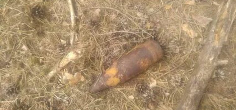 Артснаряд обезвредили саперы недалеко от деревни Гораи