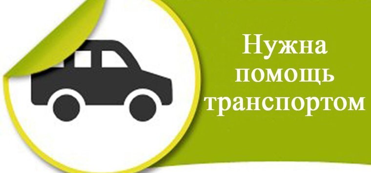 Автоволонтеров для доставки медиков к пациентам ищут в Острове