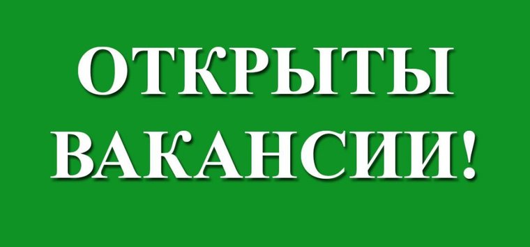 480 вакансий предлагают жителям Островского района