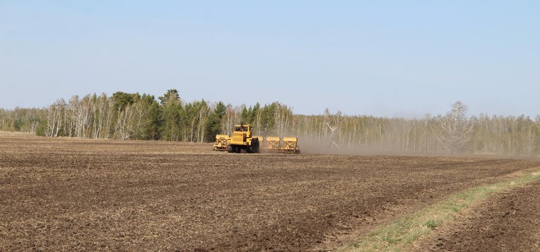 Посевная кампания завершена в Островском районе
