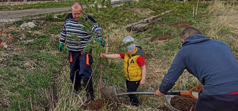 «Сад памяти» появился на улице Энтузиастов в Острове