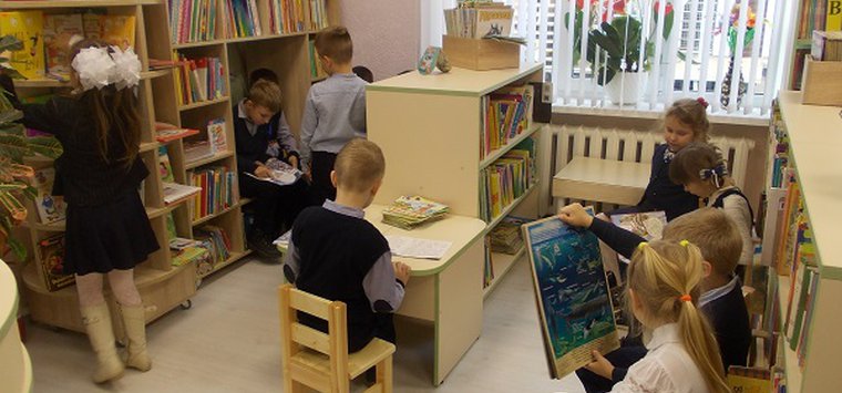 Первых посетителей приняла модельная библиотека в Острове