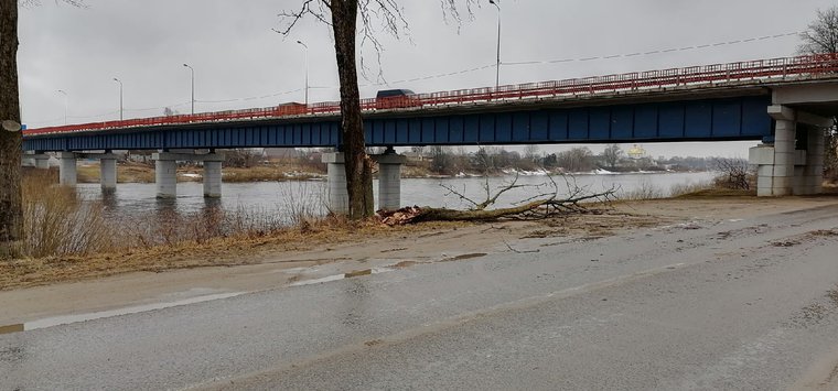 Дерево упало на дорогу в Острове