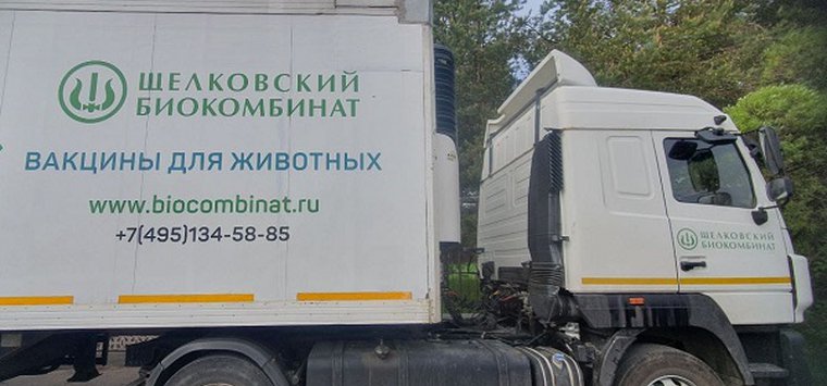 200 тысяч доз вакцины против бешенства разложат в лесах Псковской области