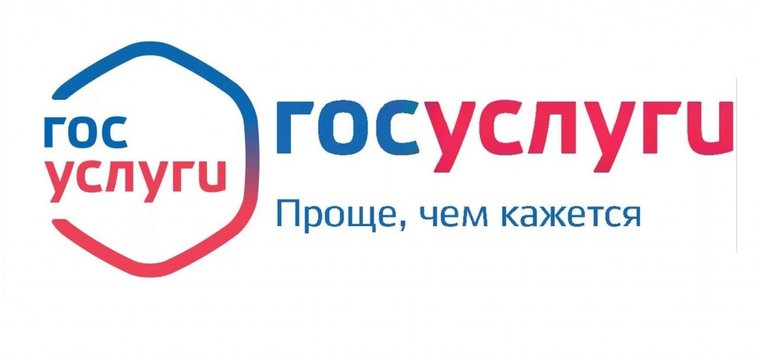 ГИБДД напоминает островичам о возможности предварительной записи на портале госуслуг