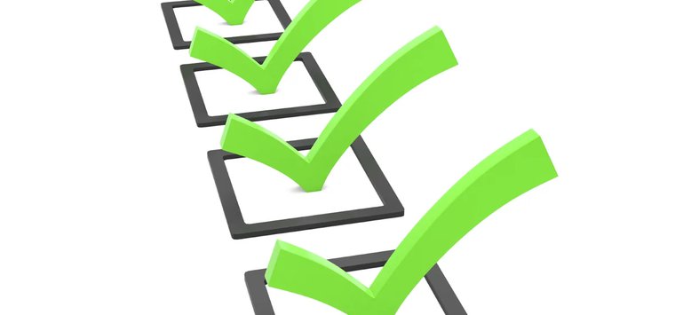 Глава Островского района отчитался о деятельности за 2019 год