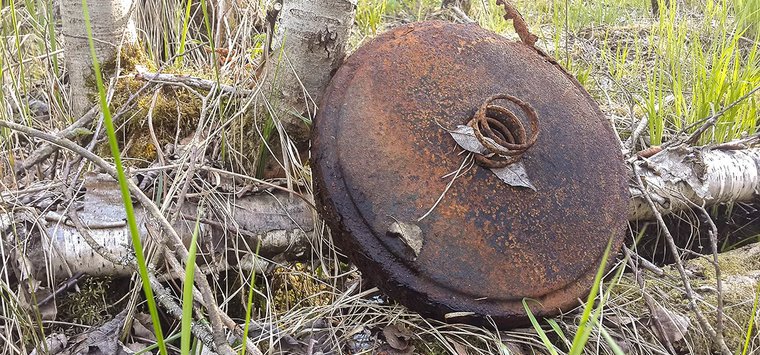 Две мины обезвредили в Островском районе