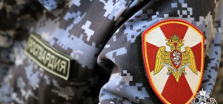 В Острове женщина решила ограбить магазин 23 февраля
