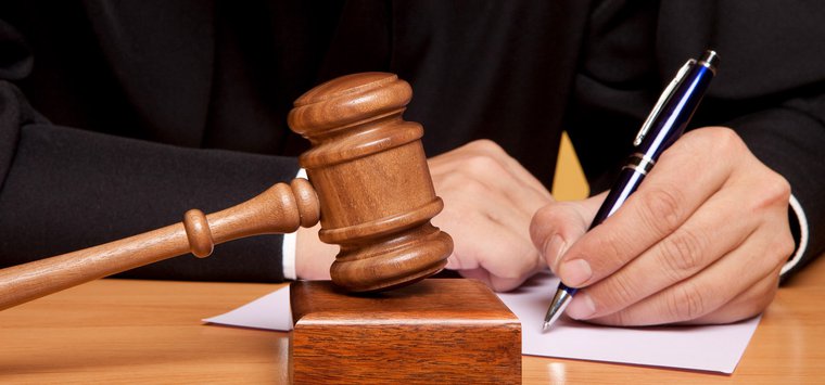 Острович предстанет перед судом за убийство собаки