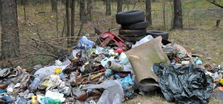 Месячник по благоустройству пройдет в Псковской области