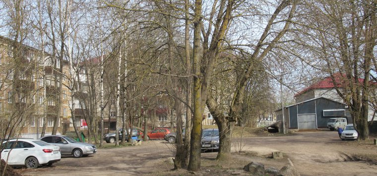 Островичи могут выбрать территорию для благоустройства