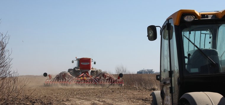 Коронавирус не повлиял на полевые работы в Островском районе