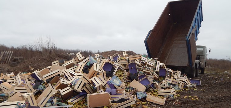 Более 20 тонн польских груш уничтожили на полигоне в Острове