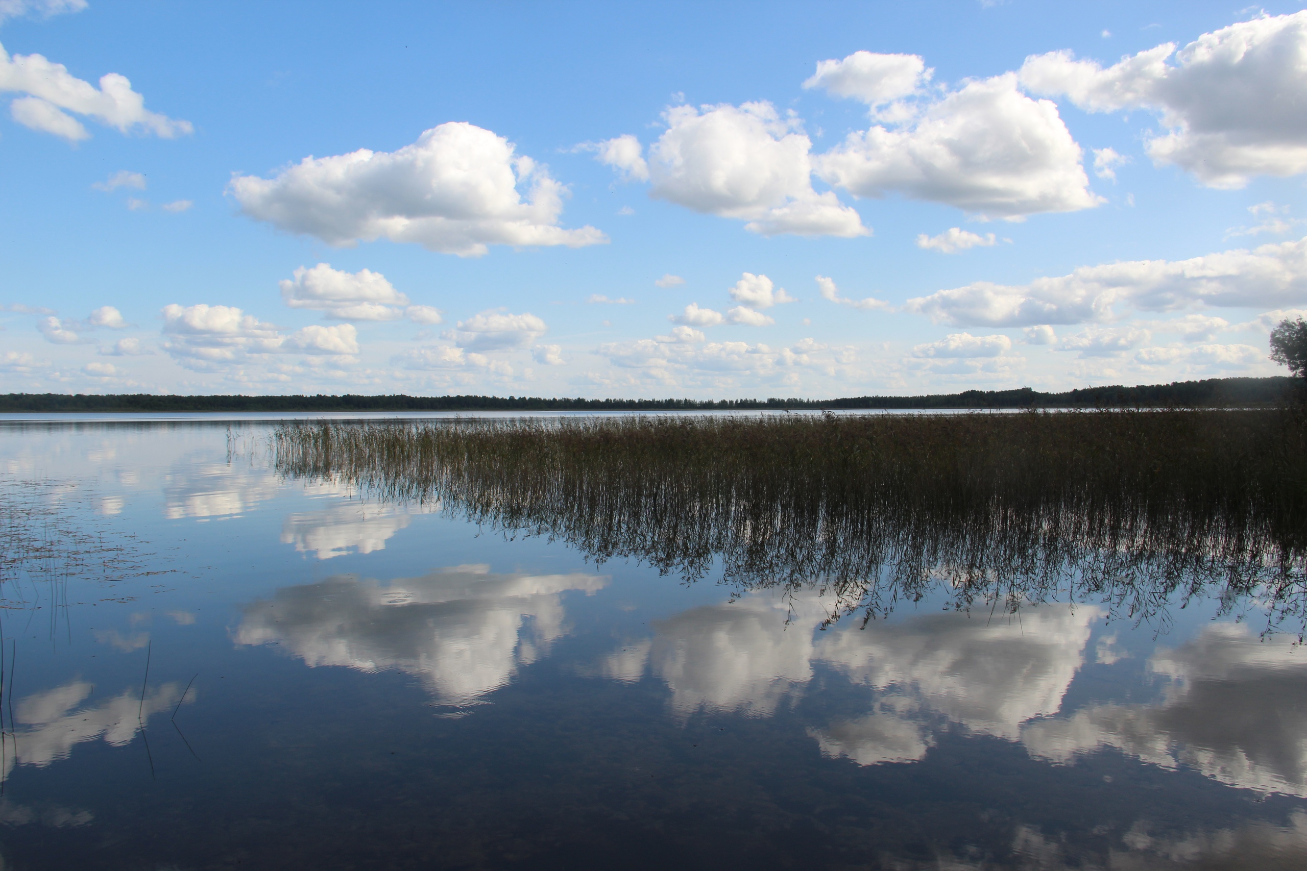 Гороховое озеро Псковская