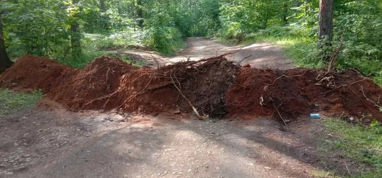 Прокуратура признала незаконным ограничение доступа к пляжу на Гороховом озере