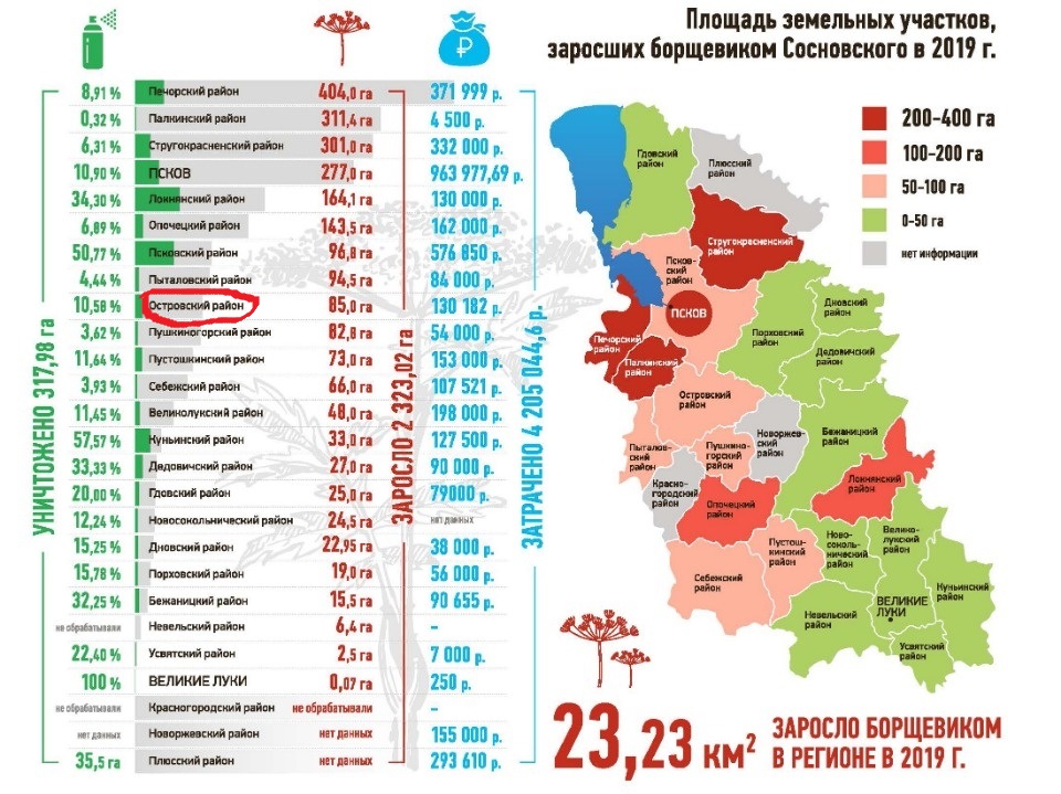 Карта борщевика ленинградской области