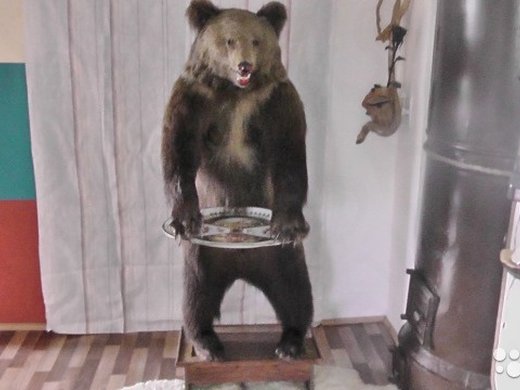 Продам чучела